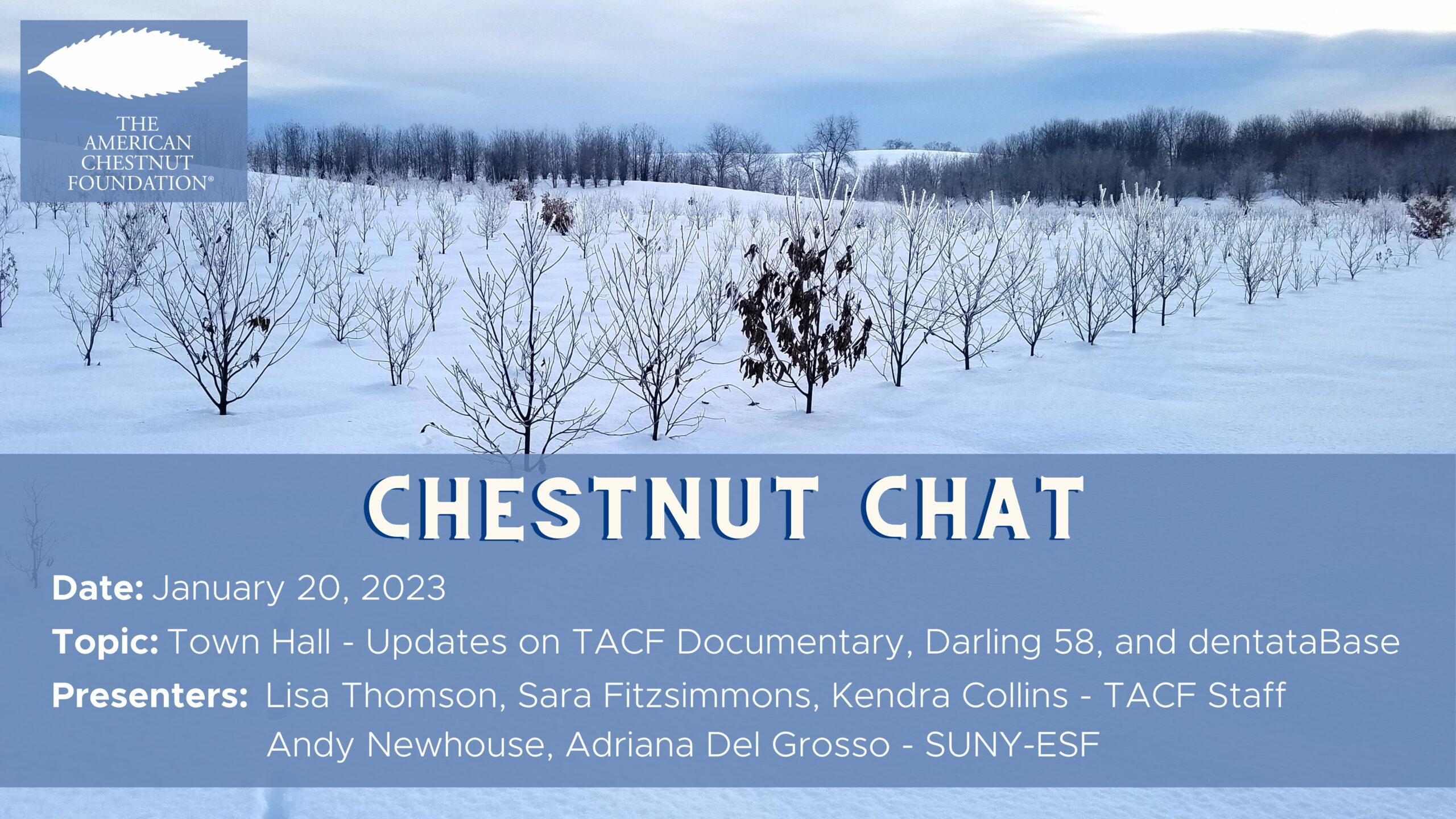 Chestnut Chat Video Graphic - 1/17/23 Town Hall