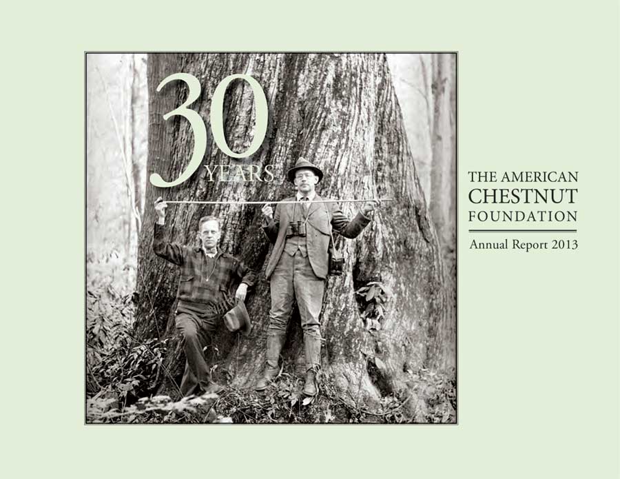 2013 TACF Annual Report cover