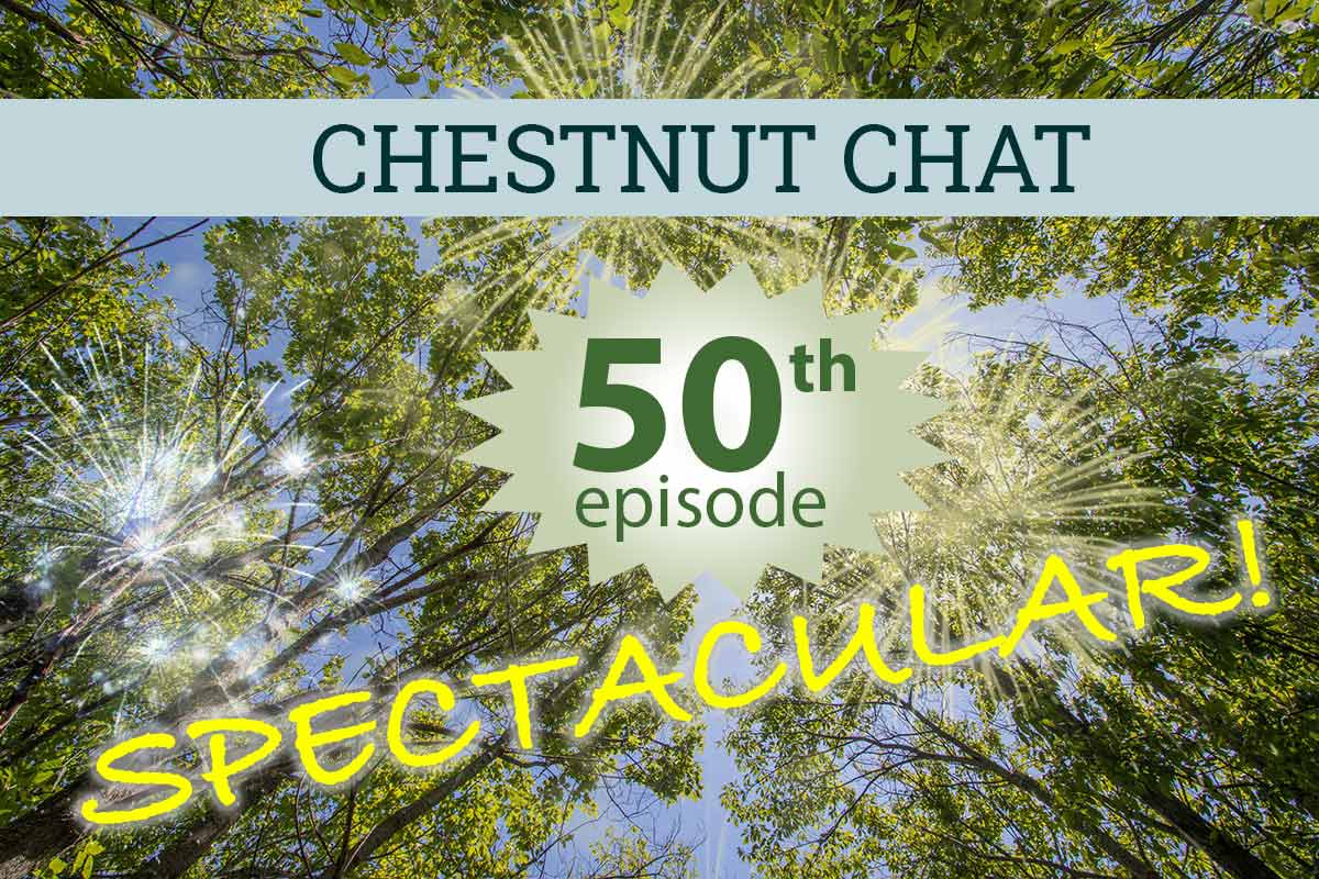50th-episode-chestnut-chat Chestnut Chat 50th Episode Spectacular