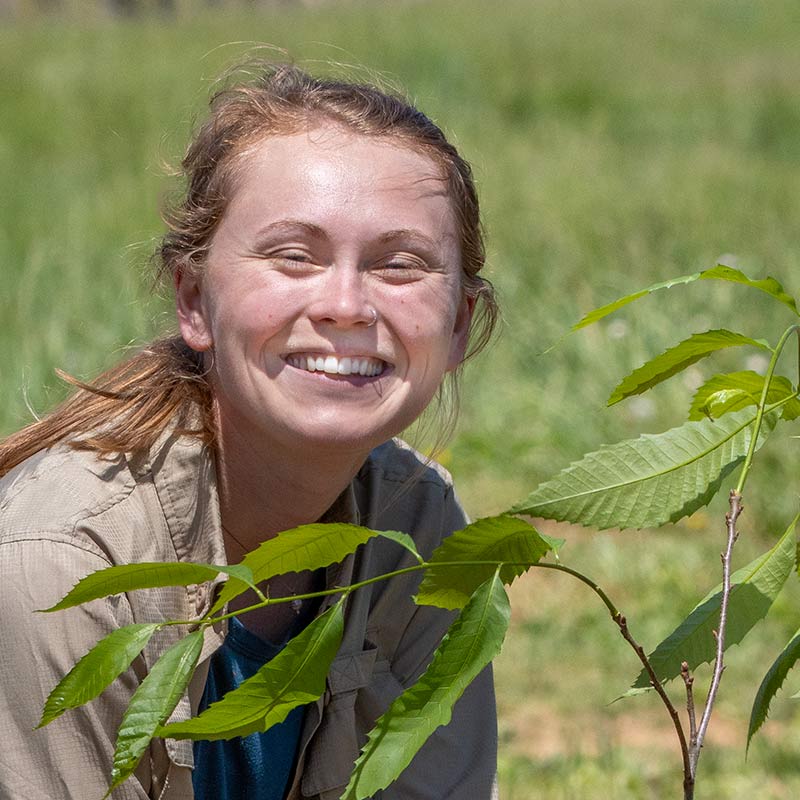cassie-stark-800b Cassie Stark, Mid-Atlantic Regional Science Coordinator at The American Chestnut Foundation