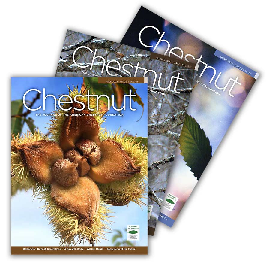 chestnut-magazine-stack Chestnut magazine covers
