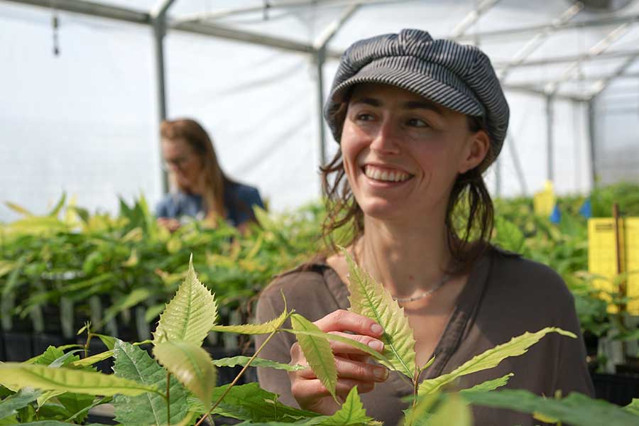 Ciera Wilbur, passionate staff member at The American Chestnut Foundation