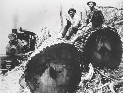 courtesy-of-tacf-and-great-smoky-mountains-national-park-library_waiting-for-the-logging-train-great-smoky-mountains-western-northern-carolina