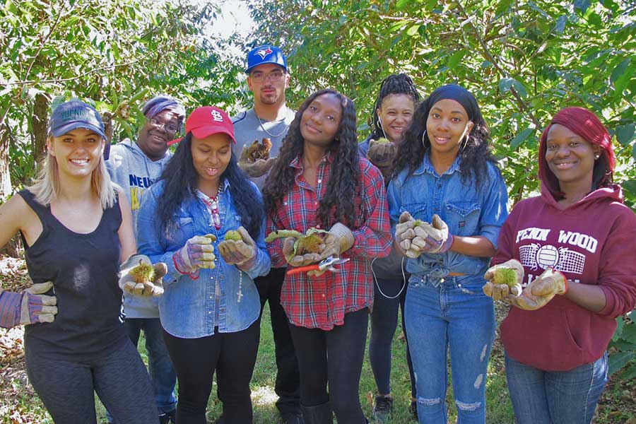 Diverse partners at The American Chestnut Foundation