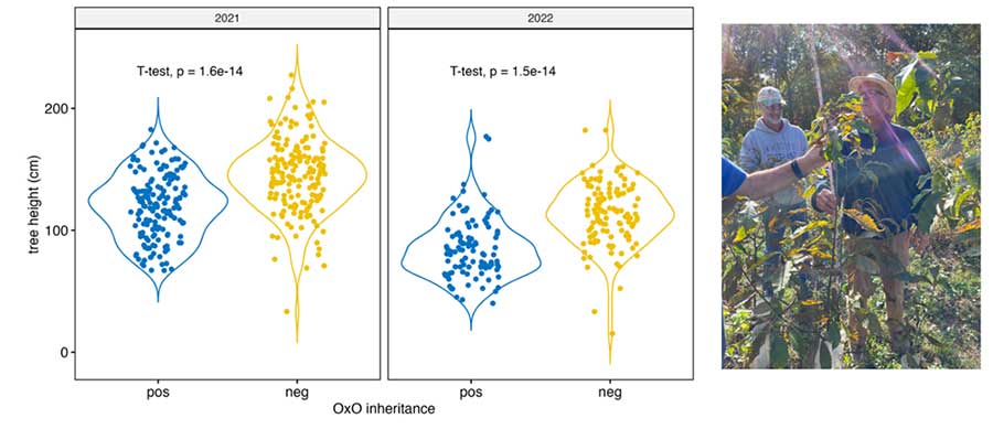 growth-penalties-oxo-inheritance-purdue