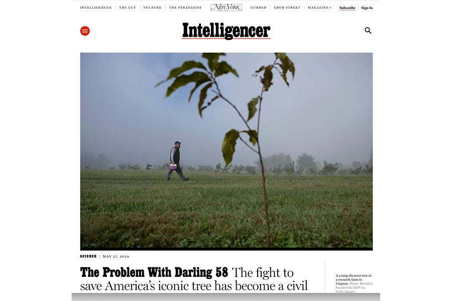 The Problem With Darling 58: the fight to save America’s iconic tree Featured Image