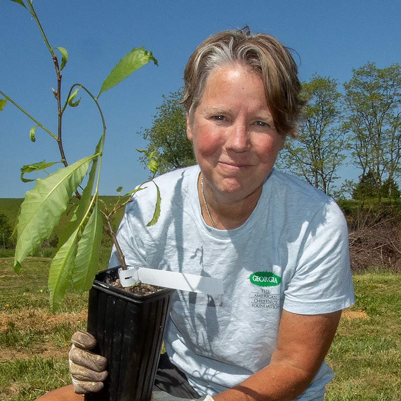 jules-smith-800b Jules Smith, Director of Communications at The American Chestnut Foundation