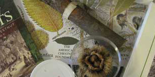 learning-box-sm-cropped