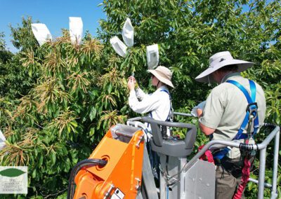 Meadowview Research Farms