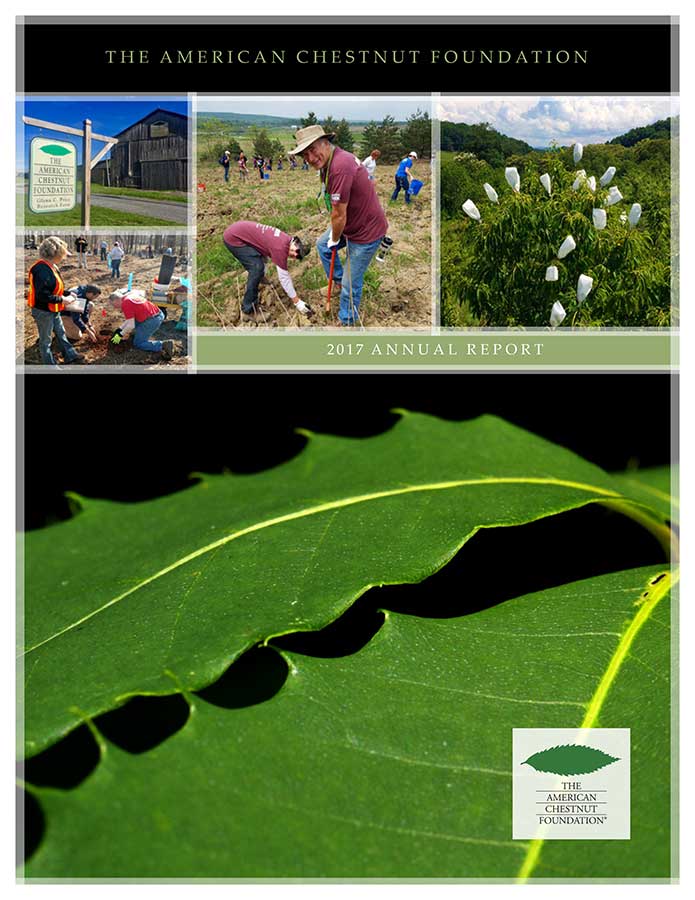 2017 TACF Annual Report