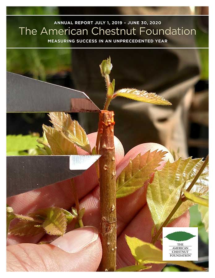 2020 TACF Annual Report cover