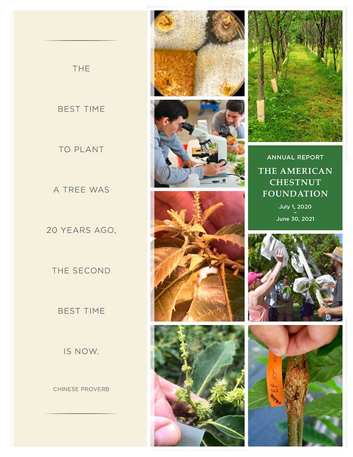 2021 TACF Annual Report cover