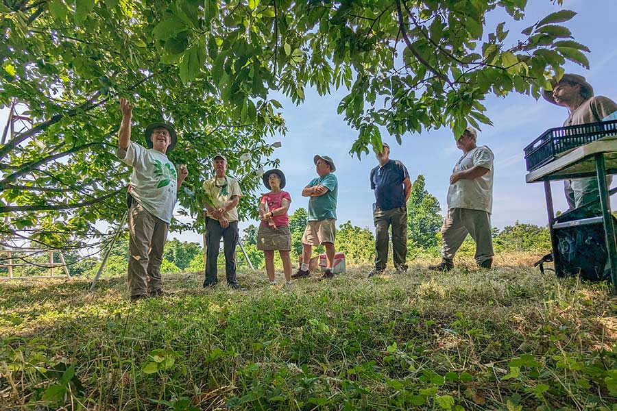 Teaching Pollination Techniques to Enthusiastic Volunteers Featured Image