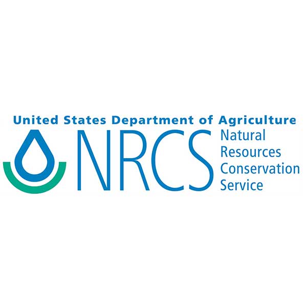 Virginia Department of Forestry logo