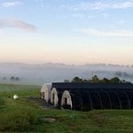 WEB thumbnail-Meadowview Chestnut Chat Amy Methent - Bio Control